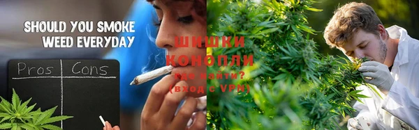 спайс Алексин