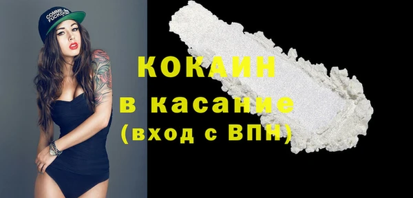 тгк Абаза