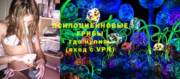 тгк Абаза